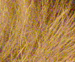 Samsung NX100: "zrcadlovka" do kapsy