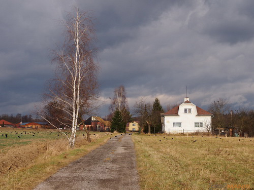 Olympus M.Zuiko Digital 45mm 1:1.8