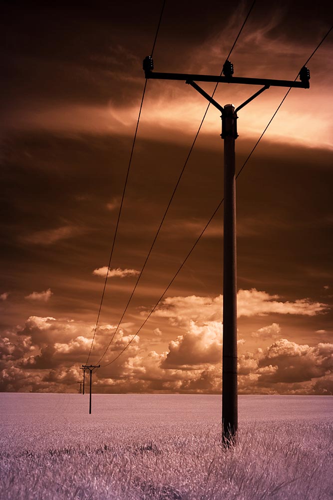 Cesta ke kvalitní fotografii: 1.díl