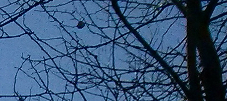 LG P710 Optimus L7 II: levných 8 mega