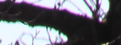 Megatest ultrazoomových objektivů