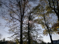 Fotíme mobilem: Panoramata jako nepřekonatelný problém?