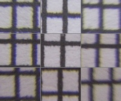 Sony SAL-1855 (DT 18-55mm F3,5-5,6 SAM)