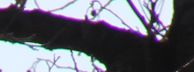 Megatest ultrazoomových objektivů