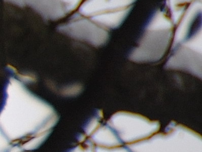 Dva objektivy nebo jeden ultrazoom?