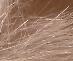 Nikon Coolpix S5100: krok vpřed