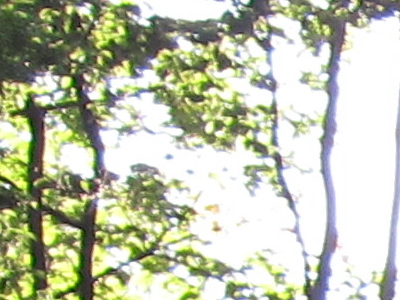 Canon IXUS 300 HS: superstylovka i pro náročné