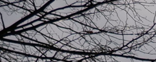 Panasonic Leica DG Vario-Summilux 25-50mm F1.7 ASPH.