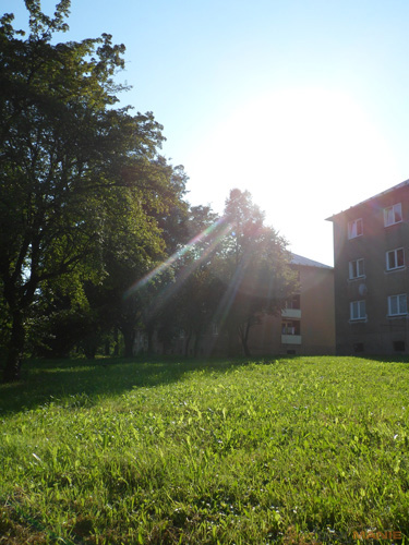 Samsung PL210: levně s grácií