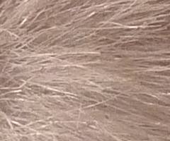 Panasonic Lumix LX3: nejtajnější přání vyslyšena