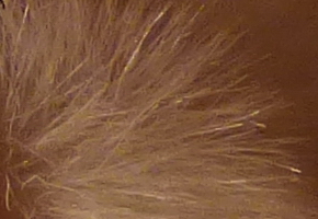 Panasonic Lumix FZ72: nejširší i nejdelší