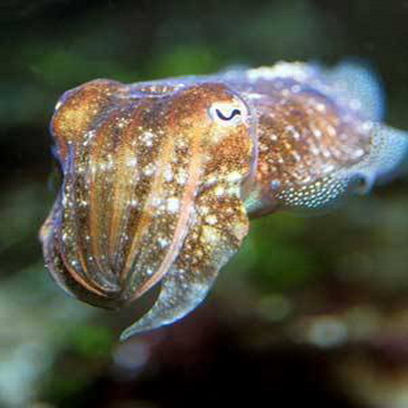 Světlo aneb nástroj každého fotografa - 3. díl