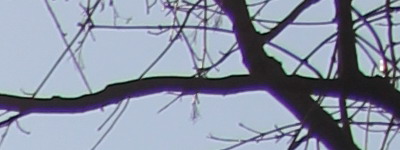 Megatest ultrazoomových objektivů