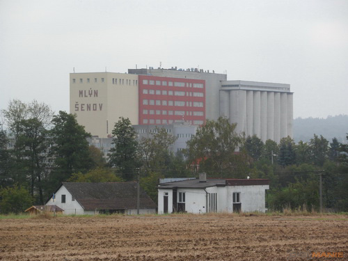 Samsung PL210: levně s grácií