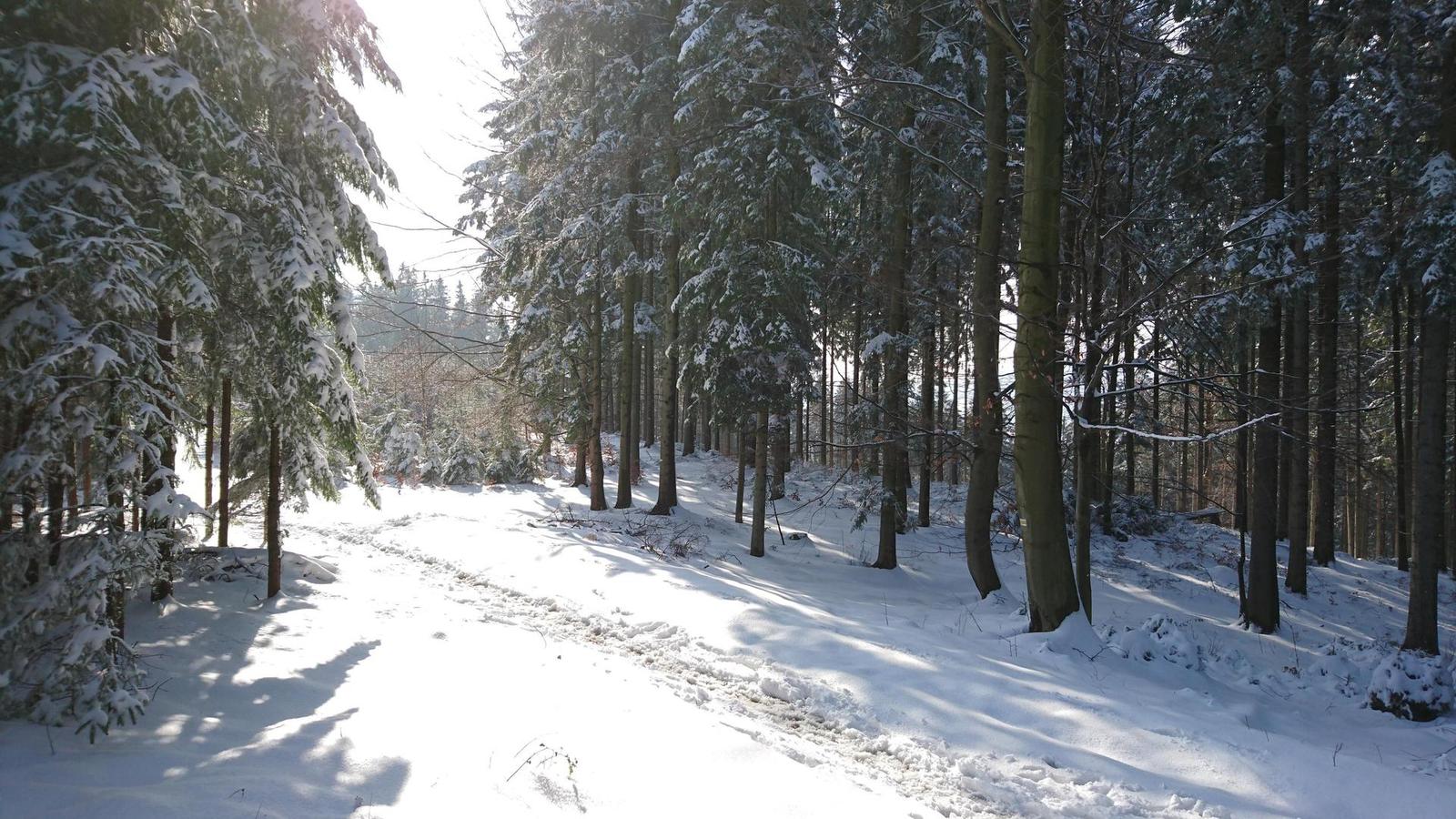 Sony Xperia Z5 a Z5 Compact: foťme širokoúhle