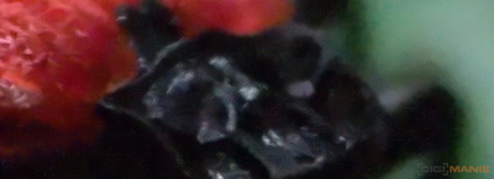 Zoner Photo Studio 16 PRO v testu