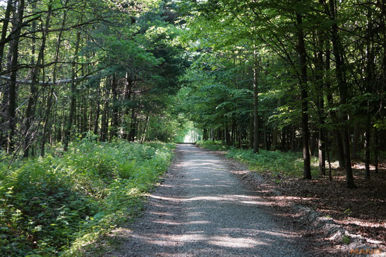 Sony NEX-7: správná (r)evoluce