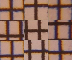 Canon EOS 550D: třídní premiant