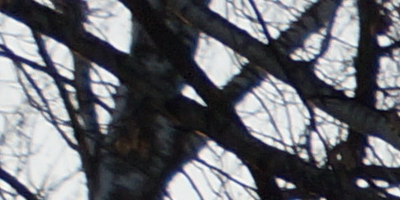 Sony DT 16-50mm F2.8 SSM