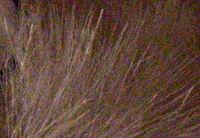 Sony a3000 (ILCE-3000): CSC co nejlevněji