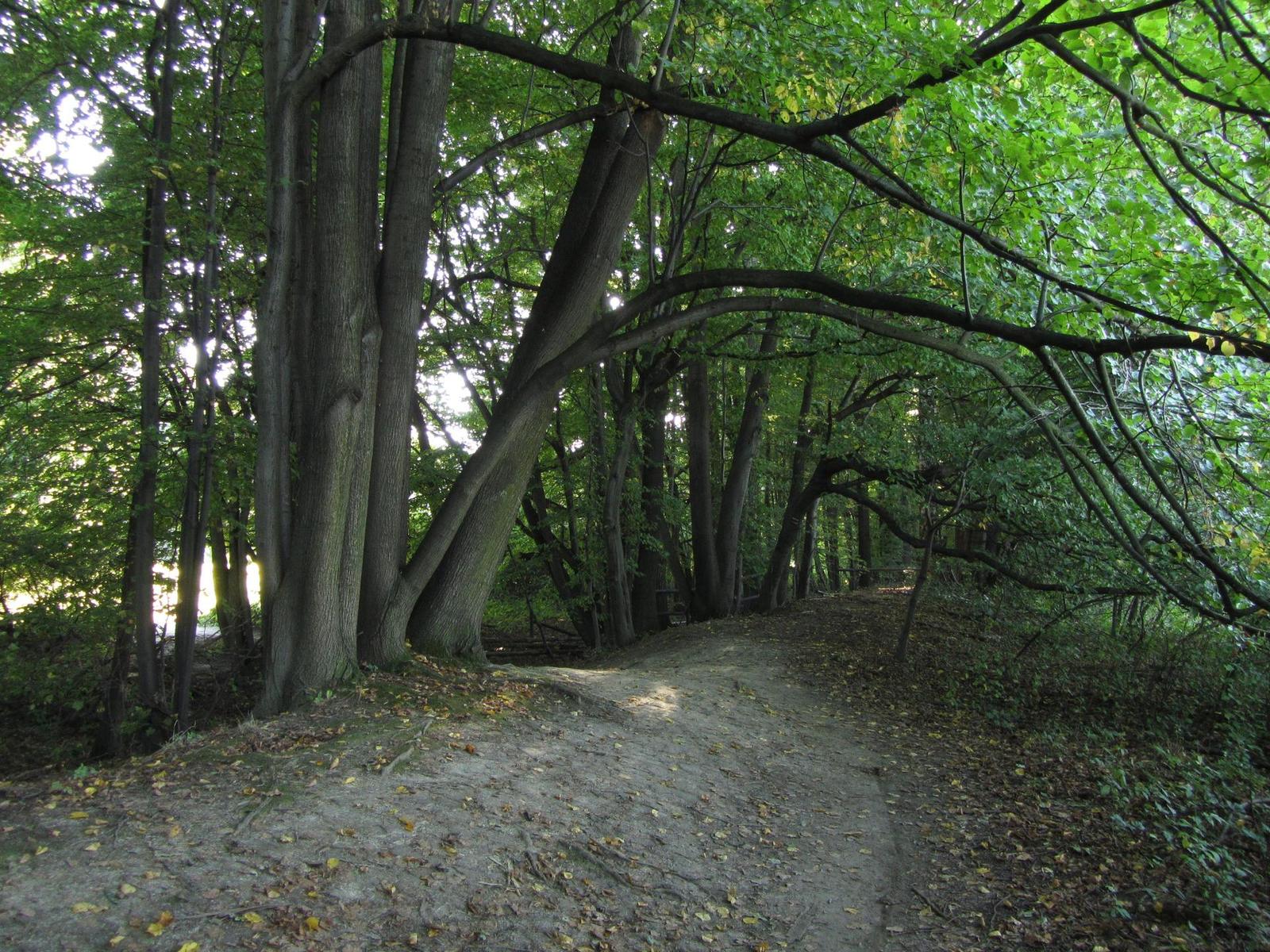 Canon PowerShot SX220/SX230 HS: (pří)jemná evoluce