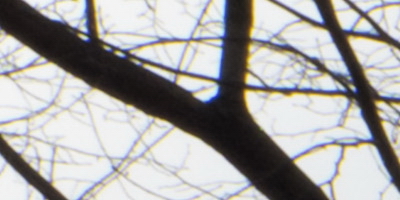 Fujifilm X-S1: jedinečný