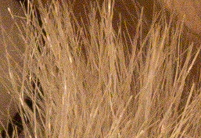 Olympus OM-D E-M5: elegantní fotokladivo