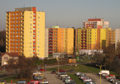 Canon PowerShot A1000 IS: ve stínu předchůdce