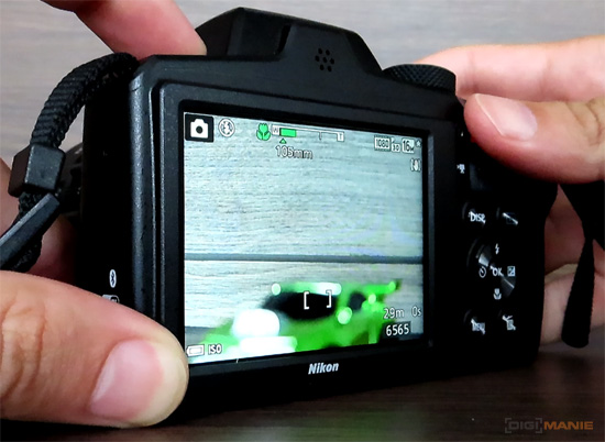 5 tipů pro lepší makro fotky kompaktem a ultrazoomem