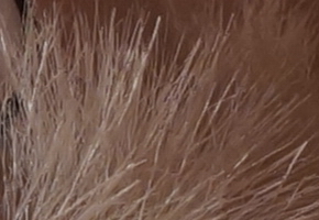 Sony a3000 (ILCE-3000): CSC co nejlevněji