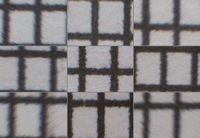 Panasonic Lumix LX15: noční borec