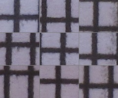 Canon PowerShot G11: géčko, o jakém jsme snili