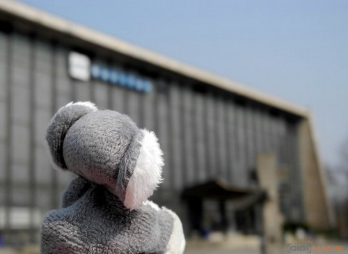 Fotíme s Koalou: Panning