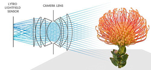 Nejprve exponovat, ostřit doma až poté!