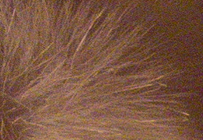 Panasonic Lumix FZ72: nejširší i nejdelší