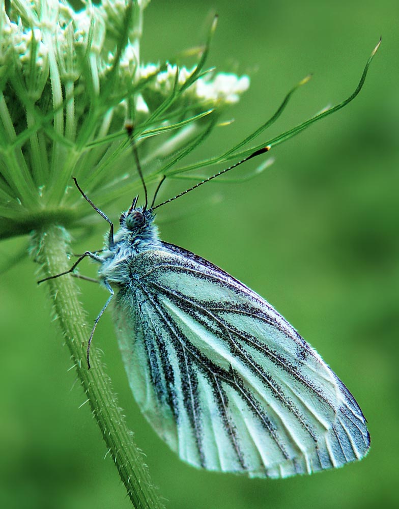 Úpravy fotografií v PC, 13. díl - ořez, tisk, archivace