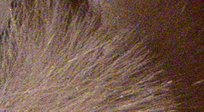 Panasonic Lumix TZ70: krůček k profi ultrazoomu