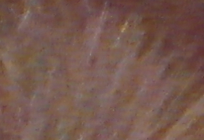 Samsung WB850F: fotící bezdrátová navigace?