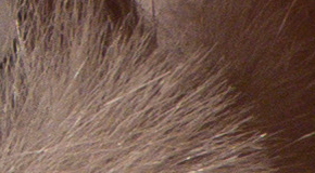 Panasonic Lumix TZ70: krůček k profi ultrazoomu