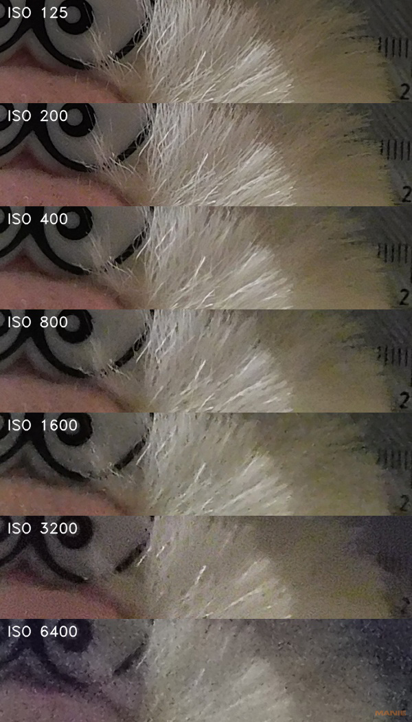 Nikon Coolpix B600: kamarád do přírody