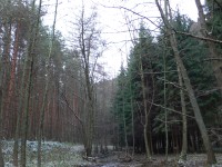 Panasonic Lumix DMC-LX1: 16:9 čip v premiéře