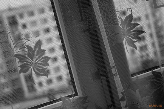 Sony NEX-5R: fázový posun k lepšímu?