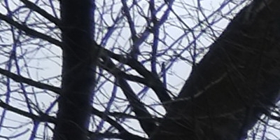 Fujinon XF 18mm f/2R