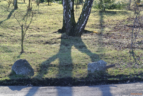 Nikon 1 NIKKOR 30-110mm 1:3,8-5,6 VR