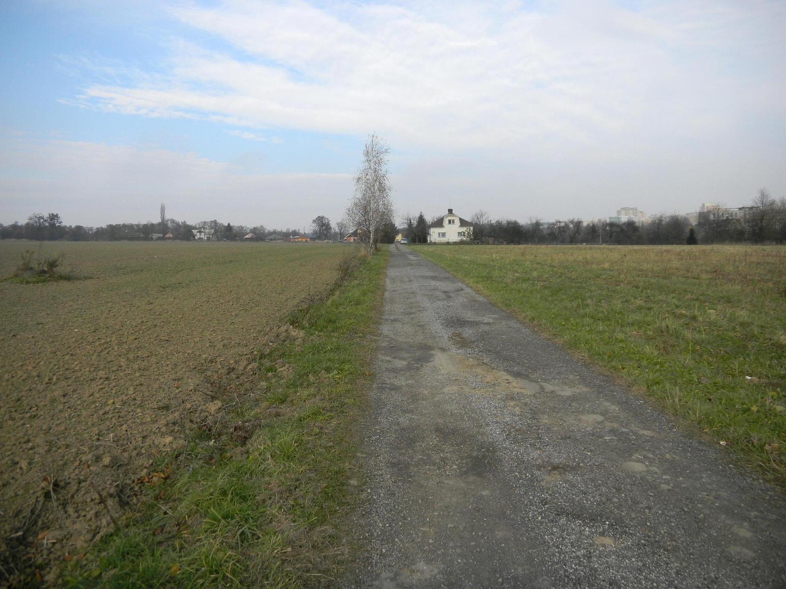 Nikon Coolpix S1100pj: kino v kompaktu