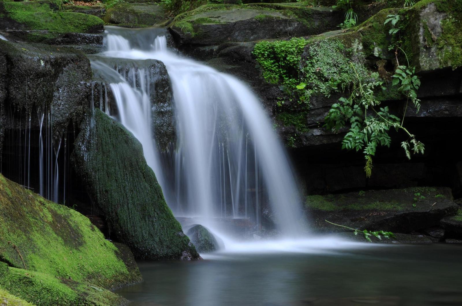 Nikon D5000: nadmíru šikovná zrcadlovka