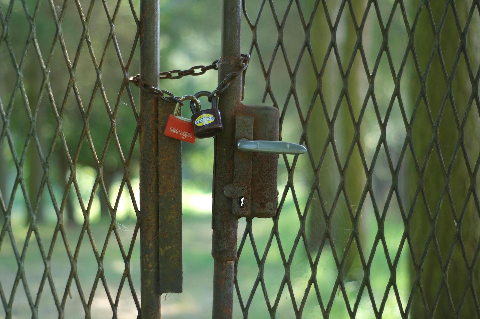 Minolta MC Rokkor-PF 50mm F1.7 (MC/MD)