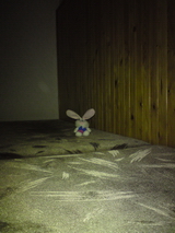 Fotomobily: technologie blesků