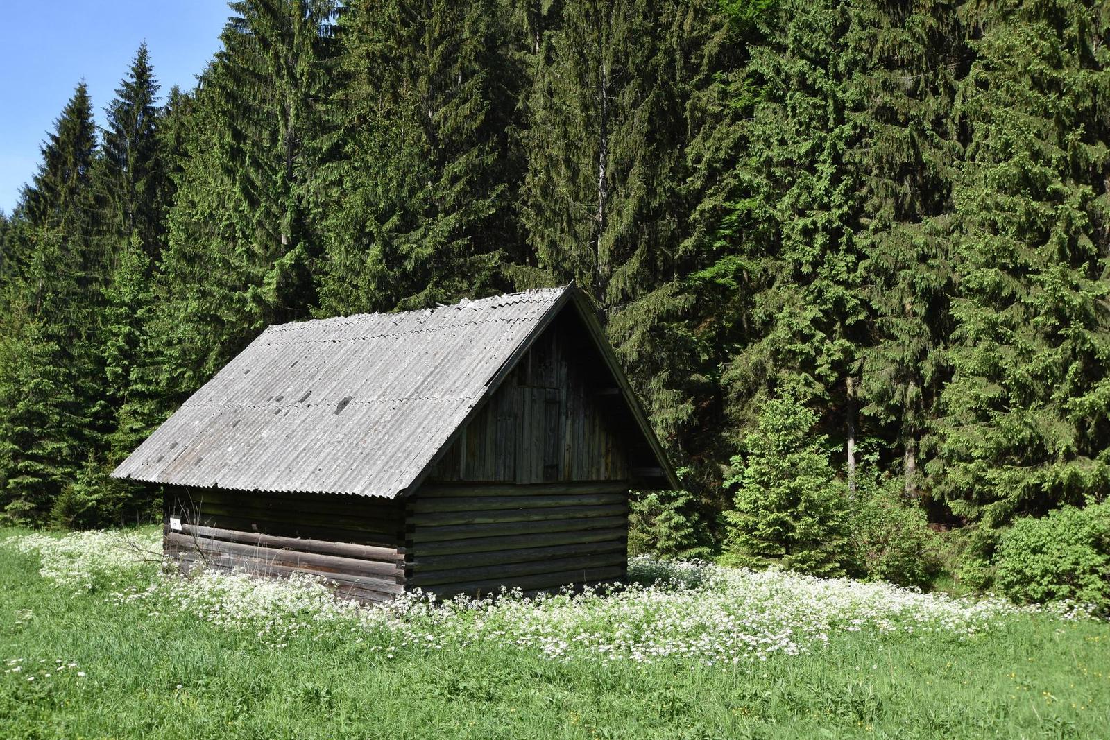 Tamron SP AF 10-24mm F3.5-4.5 Di II LD Aspherical IF