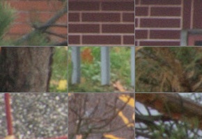 Nikon AF-P DX Nikkor 70-300 mm f/4,5-6,3G ED VR